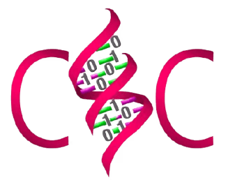 C & C Constructions